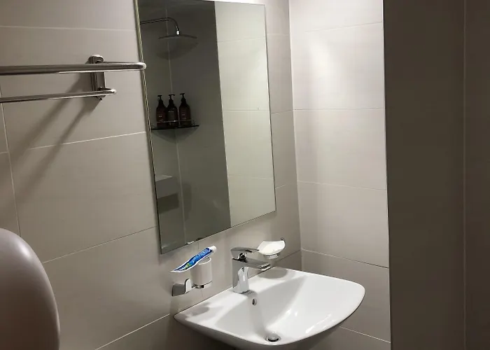 汽车旅馆 普林斯汽车旅馆 3*